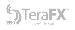 TeraFX