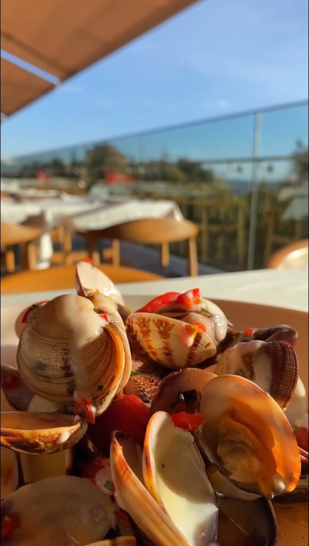 Terrazza Italia